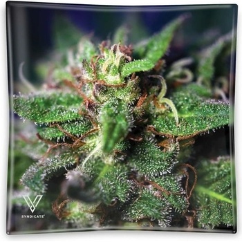 V-Syndicate Skleněný popelník Blue Dream