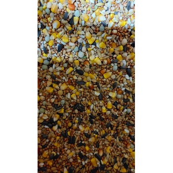 VERSELE-LAGA Classic Allround basic 20kg