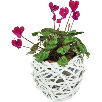 Vingo Bílý proutěný květináč tvaru hnízdo. Rozměry (cm): 33 27