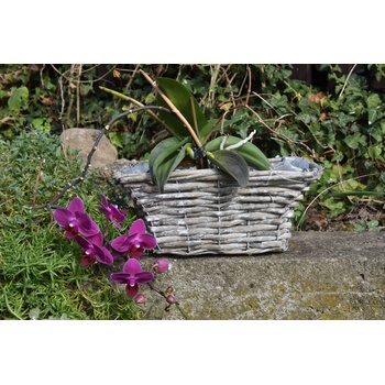 Vingo Proutěný truhlík šedý 34x17 15