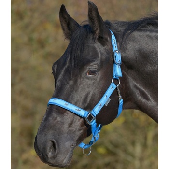 Waldhausen Ohlávka azure modrá