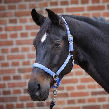 Waldhausen Ohlávka Satin červená