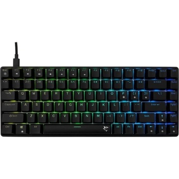 White Shark Hamachi Black Blue Switch GK-005121 US