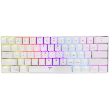 White Shark Shinobi White Blue Switch GK-2022