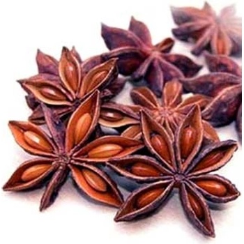 World Herbs Badyán plod celý 100 g