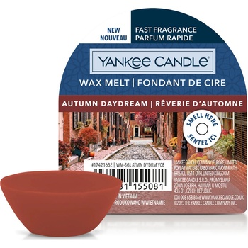Yankee Candle Autumn Daydream vonný vosk 22 g