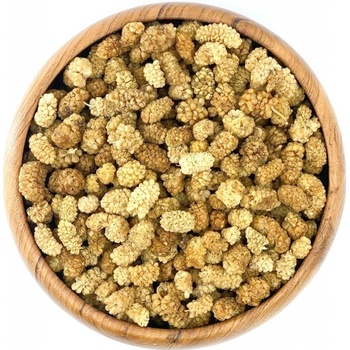 Zdravoslav Moruše bílá sušená 1 kg