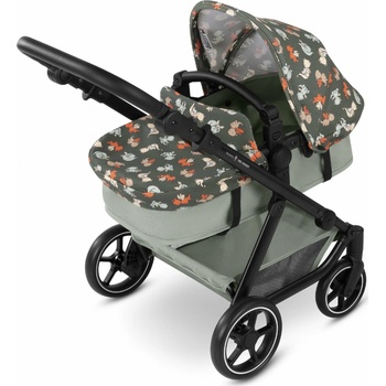 ABC Design Migno 2025 Dragon