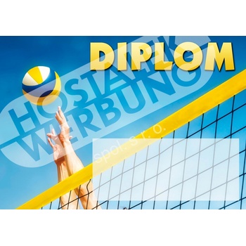 Diplom volejbal
