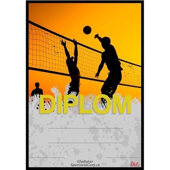 DV04f Diplom volejbal