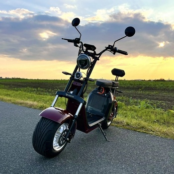 Leramotors SCOOTERS C2