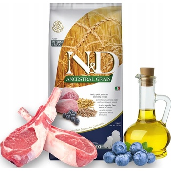 N&D Ancestral Grain Puppy Medium & Maxi Lamb & Blueberry 12 kg
