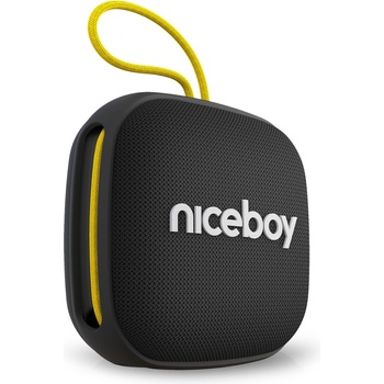 Niceboy RAZE Mini 4