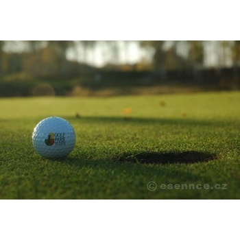 Víkend s golfem na Dýšině Vaše první lekce