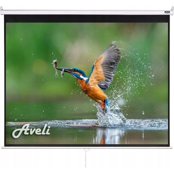 AVELI 150x113 cm 4:3 XRT-00103