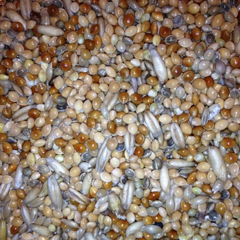 Avest Směs Andulka 04 20 kg