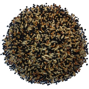 Avest Směs Kanár 13 1 kg