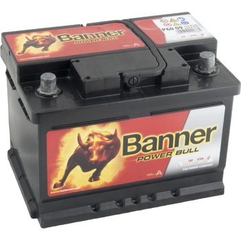 Banner Power Bull 12V 60Ah 540A P60 09