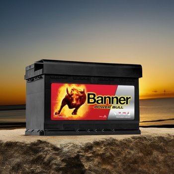 Banner Power Bull PROfessional 12V 77Ah 700A P77 40