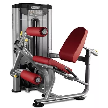 BH Fitness L020 Leg Extension/Leg Curl