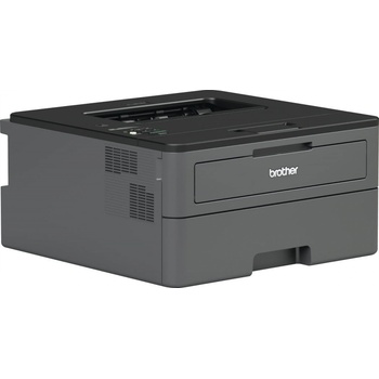 Brother HL-L2460DNYJ1