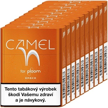 Camel Amber karton
