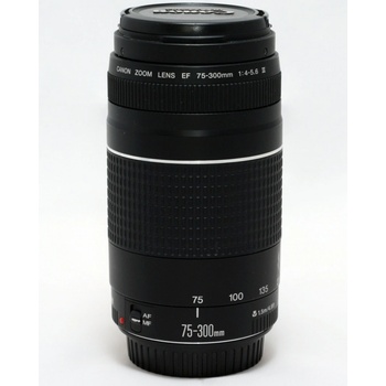 Canon EF 75-300mm f/4-5.6 III