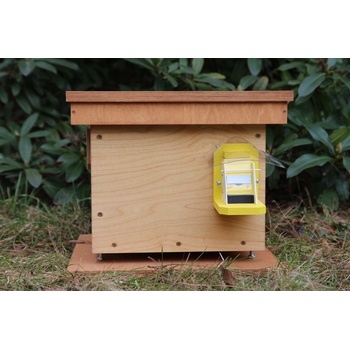 Chov Čmeláků.cz Čmelín Economy CE-2022 Pinie