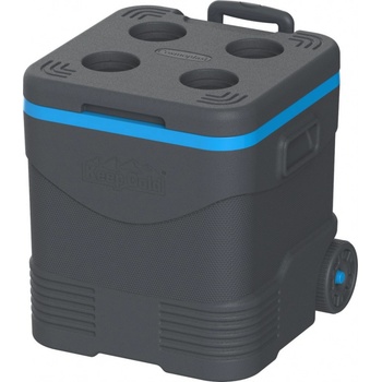 Cosmoplast Keep Cold DeLuxe 45