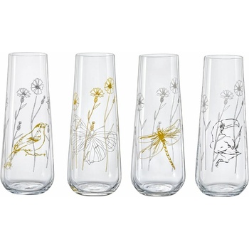 Crystalex Sklenice na prosecco MEADOW 4 x 250 ml