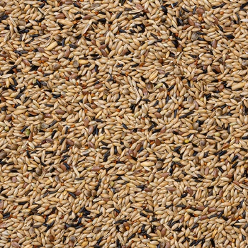 Deli Nature 80 Canaries Breeding Without Rapeseed 20 kg