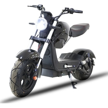 EcoWheel GR25 1500W 40Ah Černá