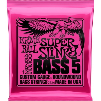 Ernie Ball 2824