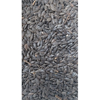 Fauna Hradil Černá slunečnice 20 kg