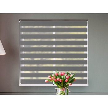 Fexi Roleta Den a noc, Origin Tmavě stříbrná, C 014 150x70 cm levá-bílá