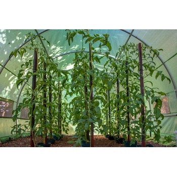 G21 200 x 300 x 200 cm zelený