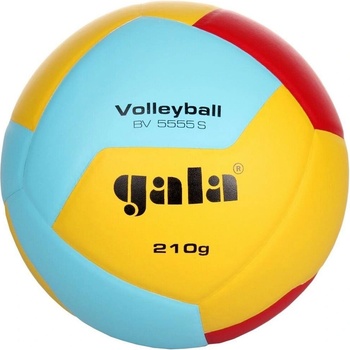 Gala Volleyball 12 BV 5555