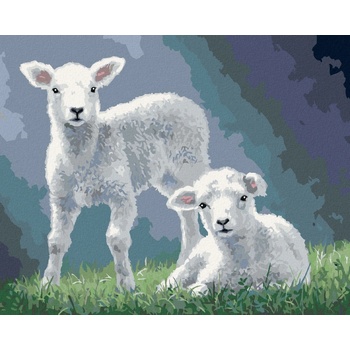 Günther DELTA Multitoys LOOP 100 x 56 cm