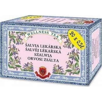 Herbex Čaj Šalvěj lékařská 20 x 3 g