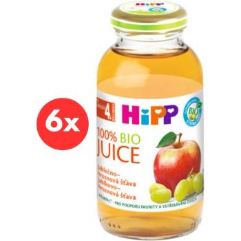 HiPP BIO Jablečno-hroznová 6 x 200 ml