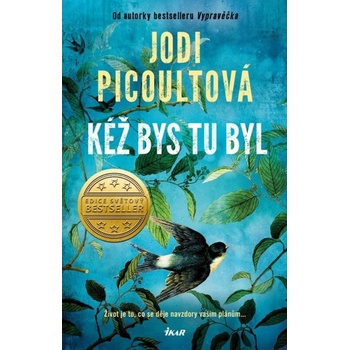 Kéž bys tu byl - Jodi Picoult