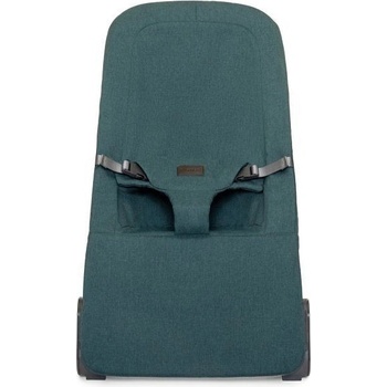 Kidnort Vinbär zelené