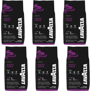 Lavazza Expert Gusto Forte 6 kg