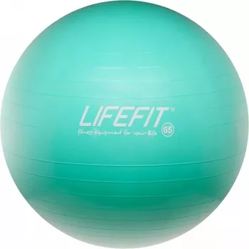Lifefit Anti-Burst 65 cm