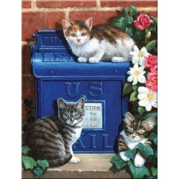 Malování podle čísel Poštovní schránka