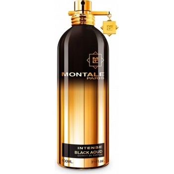 Montale Paris Black Aoud Intense Parfém pánský 20 ml tester