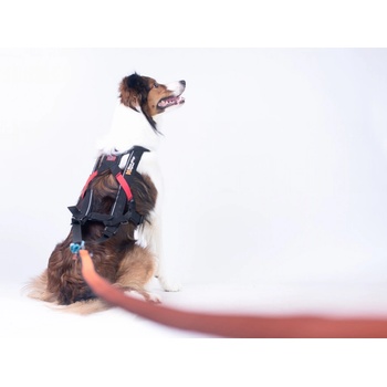 Non-stop Dogwear Postroj Free Motion