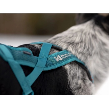 Non-stop Dogwear Postroj Rush