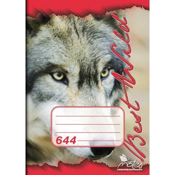 Notes Sešit A6 linkovaný 40 listů