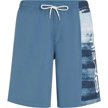 O'Neill Retro 19 modré